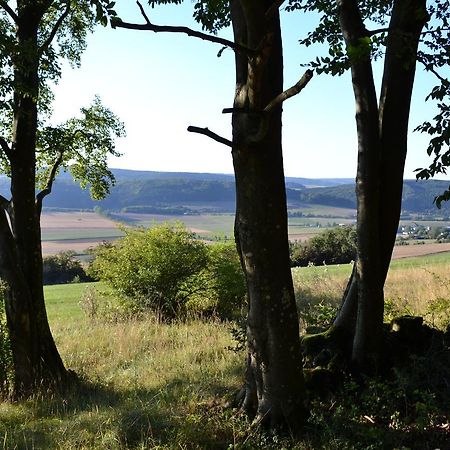 Ferienhaus Ooser Talchen In Gerolstein Vulkaneifel Willa Zewnętrze zdjęcie