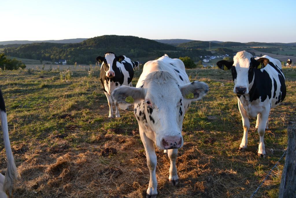 Ferienhaus Ooser Talchen In Gerolstein Vulkaneifel Willa Zewnętrze zdjęcie