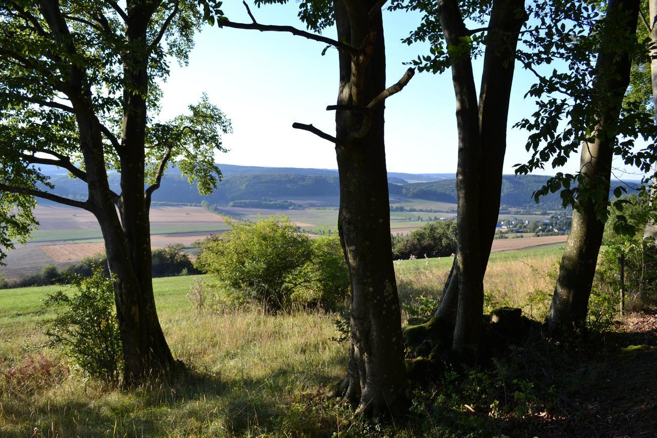 Ferienhaus Ooser Talchen In Gerolstein Vulkaneifel Willa Zewnętrze zdjęcie